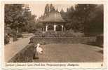 D - BW - Radolfzell (Bodensee) - Unser Storch Beim Morgenspaziergang I. Stadtgarten - Kunstverlag Franz Walter / FW - Radolfzell