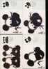 CARTES MAXIMUM     4 Pandas   Ours  1985    Mignons Comme Tout - Ours