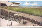 Ca 1920 Race Track Stadium Stade Stadion Tijuana Mexico Pre-linen Publ.: The Big Curio Store - Hípica