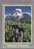 Mount Rainier - Washington - Altri & Non Classificati