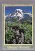 Mount Rainier - Washington - Other & Unclassified