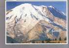 Mount Rainier From Sunrise Park - Washington - Other & Unclassified