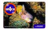 FAUNA MARINA ( Venezuela ) Underwatter Undersea World Marine - Sea Life Fish Poisson Fisch Pez Pescado Pesce Poissons - Venezuela