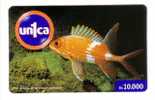 FAUNA MARINA ( Venezuela ) Underwatter Undersea World Marine - Sea Life Fish Poisson Fisch Pez Pescado Pesce Poissons - Venezuela