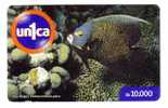 FAUNA MARINA ( Venezuela ) Underwatter Undersea World Marine - Sea Life Fish Poisson Fisch Pez Pescado Pesce Poissons - Venezuela