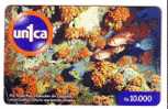 FAUNA MARINA ( Venezuela ) Underwatter Undersea World Marine - Sea Life Fish Poisson Fisch Pez Pescado Pesce Poissons - Venezuela