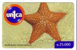 STARFISH ( Venezuela ) étoile De Mer Estrella De Mar Star Fish Underwatter Undersea World Marine Sea Life Poisson Pez - Venezuela