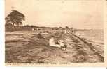 CpF0325 - The Beach NR. Tea Gardens, West Mersea - (Angleterre) - Andere & Zonder Classificatie