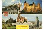 CPSM ANVERS  GIRAFE - Giraffen