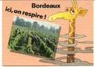 CPM BORDEAUX  GIRAFE Ici On Respire! - Giraffe