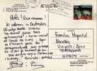 3483   Postal,   Fremantle  (Australia)  1986,post Card - Cartas & Documentos