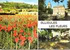 CPSM.  OLLIOULES. LA CITE DES FLEURS. DATEE 1974 - Ollioules