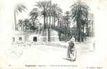 Lot 2 CPA - Laghouat (Algérie) - L'entrée De La Grande Seguia + Ruelle De L'oasis, Près Avenue Cassaigne - Laghouat
