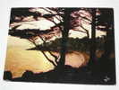 Delcampe - Lot 377 -1- Carte Postale Sur Port Navalo Couché De Soleil Sur La Plage Carte Edition IRIS MX3984 Jos - Arzon