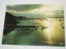 Delcampe - Lot 377 -1- Carte Postale Sur Port Navalo  Crépuscule Sur Le Port  Editions YCA  Belles Editions De Bretagne REF S624 - Arzon