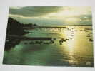Lot 377 -1- Carte Postale Sur Port Navalo  Crépuscule Sur Le Port  Editions YCA  Belles Editions De Bretagne REF S624 - Arzon