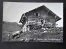 Champéry - Planachaux  Cabane Du Ski Club - Animée - Champéry