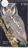 UIL HIBOU Owl EULE Op Telefoonkaart (253) - Eulenvögel