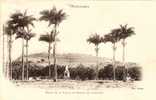 Martinique . Fort De France Place De La Savane 1902 - Fort De France