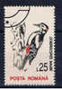 RO+ Rumänien 1993 Mi 4879 Specht - Used Stamps