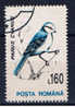 RO+ Rumänien 1993 Mi 4883 Vogel - Used Stamps