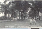 Real Photo Vraie Scene In Park, St. James, MN 1949 To Fort Atkinson, WI - Autres & Non Classés