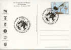 2009 Mondiale Ornithologica COM Piacenza / Exhibition Expo / Bird Vogel Oiseau -- VERY FEW ITEMS CANCELLED - Mechanical Postmarks (Advertisement)