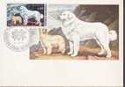 MONACO CARTE MAXIMUM  NUM.YVERT  1093 EXPOSITION CANINE - Maximum Cards