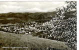 Luftkurort WALDBREITBACH (Wied) - Neuwied