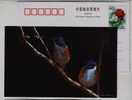 Sparrow Bird,finch,China 2002 Hebei Helping Disabled Person Charity Advertising Pre-stamped Card - Cernícalo