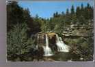 Blackwater Fall State Park, West Virginia - Altri & Non Classificati