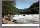 Fayette Station Rapids - New River George National River,  West Virginia - Otros & Sin Clasificación