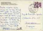 Postal, Fechador Especial Hospental ( Suiza) 1979, Cover, Letter, Flamme - Lettres & Documents