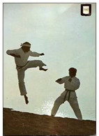 SPORT-KARATE-JIYU-KUMITE-LUTTE - Martiaux