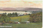 Ca 1905-1910 Windermere From Low Wood, Cows, Vâches J.W.B. 303 - Sonstige & Ohne Zuordnung