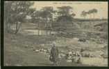 29 PONT L'ABBE La Vallée Du Suller - Pont L'Abbe