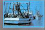 Texas Gulf Coast Shrimp Boat - Visvangst