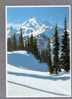 Mount Rainier View From Chinook Pass- Washington - Andere & Zonder Classificatie