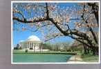Jefferson Memorial,   Washington, D.C. - Washington DC