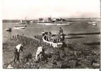 SAINT PIERRE D'OLERON  Préparatifs D'un Chargement D'huitres Au Port , Partie De St Pierre D'oléron - Saint-Pierre-d'Oleron