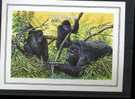 Gorilles Des Montagnes ++ RWANDA 1985   Bloc NON DENTELE ++ Bloc 99 ++ - Monkeys