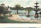 1898-1905 Fountain And Lake. West Lake Park. Los Angeles Publ: Adolph Selige - Los Angeles