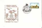 Romania / Special Cover With Special Cancellation - Physik