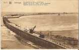 ZEEBRUGGE - Vue Générale De Môle Et De La Rade - Zeebrugge