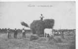 01 /// VILLARS / La Rentrée Du Blé / Fenaison, Moisson, Agriculture / ANIMEE - Villars-les-Dombes