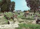 Bavay - Les Fouilles - Vestige De La Citè Romaine De Bagacum - Bavay