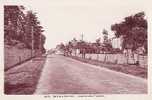 BRULON : Avenue Des Fresnes - Brulon