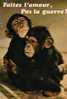 Singe Faites L´amour - Monkeys