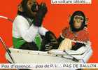 Singe La Voiture Ideale - Singes