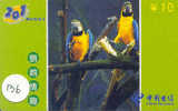 PERROQUET Parrot PAPAGEI Papagaai Telecarte (136) - Perroquets